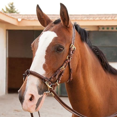 Carolina Serreta-Caversson, soft leather