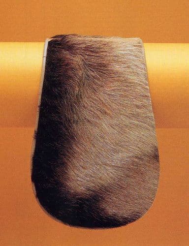 Chairel / Xairel - Portuguese