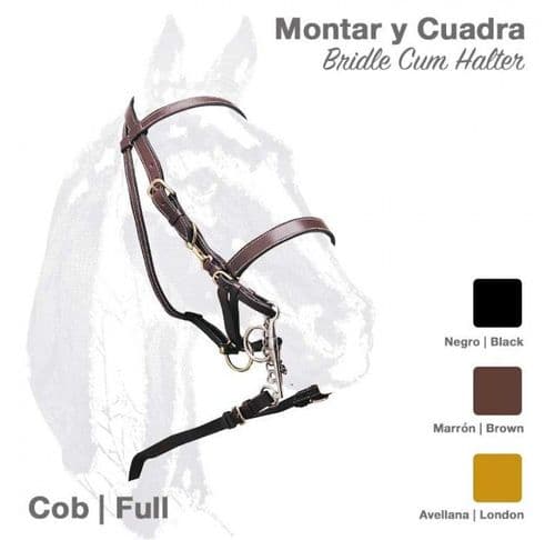 CLEARANCE offer combination bridle/headcollar