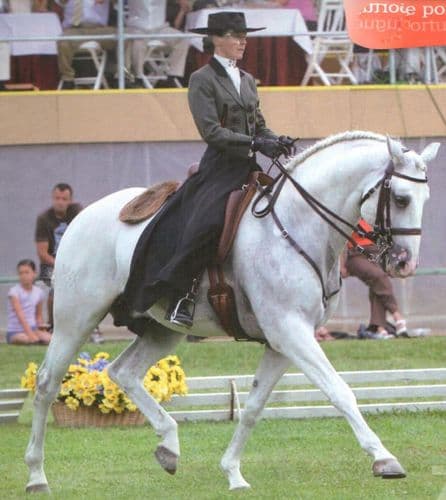 CLEARANCE OFFER Portuguese Riding Jacket