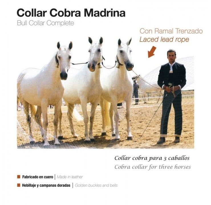 Cobra set for 3 mares (lote de yeguas)
