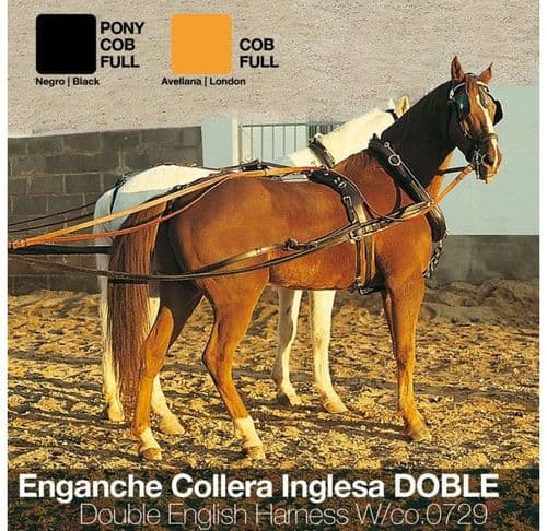 Double collar harness