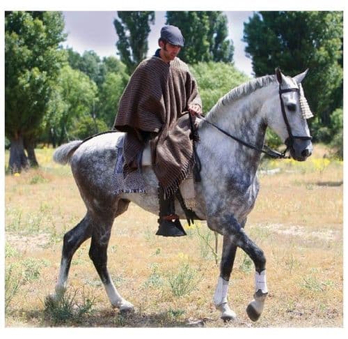 Economically priced Poncho