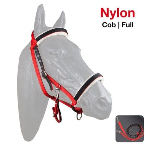Economy Halter-bridle with rubber reins