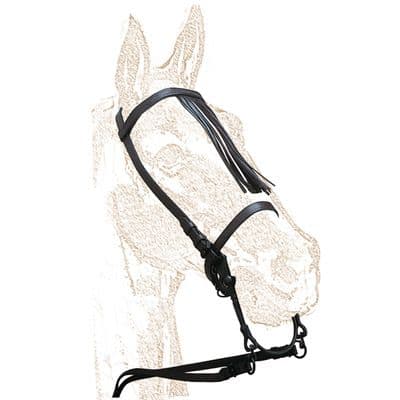 Economy Vaquera Bridle