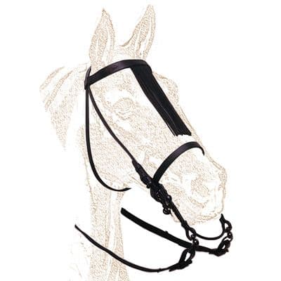 Economy Vaquera Bridle with throat lash