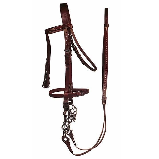 Hand sewn Jerezana bridle with hand made Jerezana reins