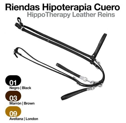Hipotherapy reins