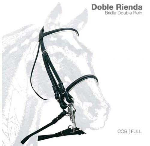 Leather double bridle