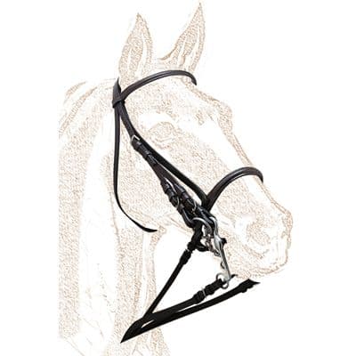 Leather double bridle - economical