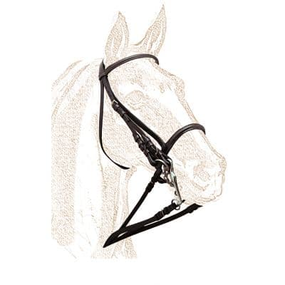 Leather double bridle with a fine, or narrow, browband