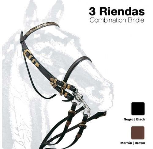 Leather double bridle with brassed buckles