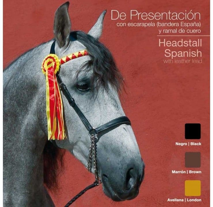 Leather in-hand show bridle or halter with leadrope