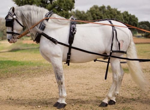 Leather pairs driving harness with collar - Keiffer
