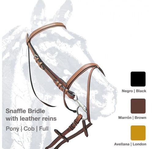 Leather single bridle with stitched browband