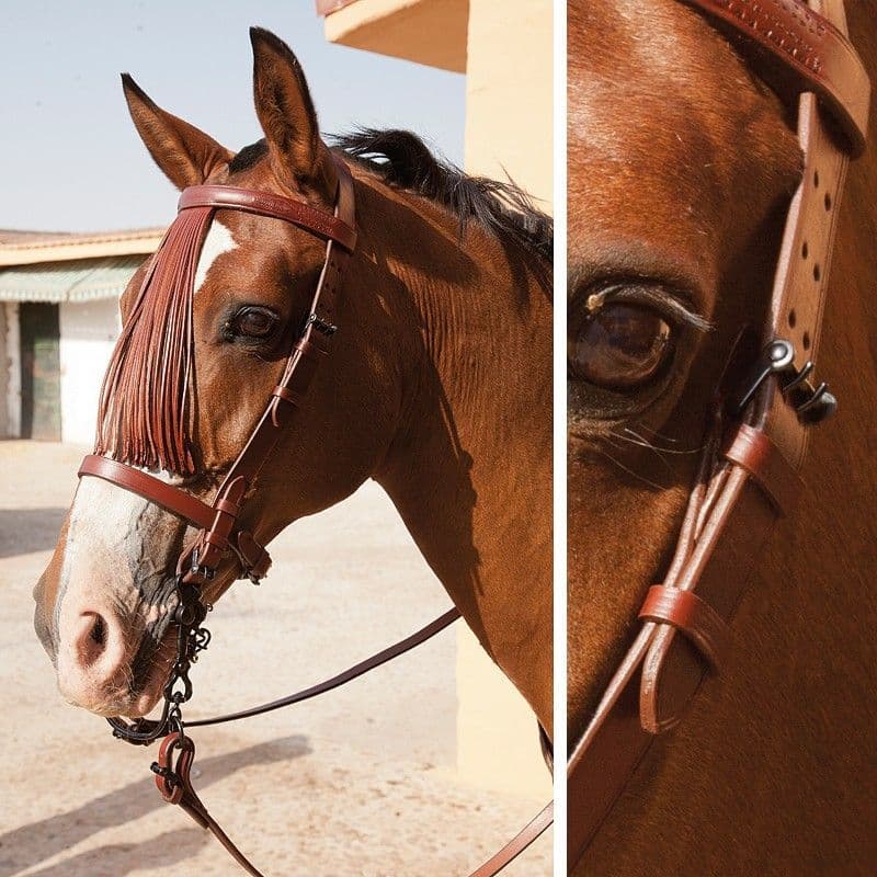 Marjoman Artisan Spanish bridle