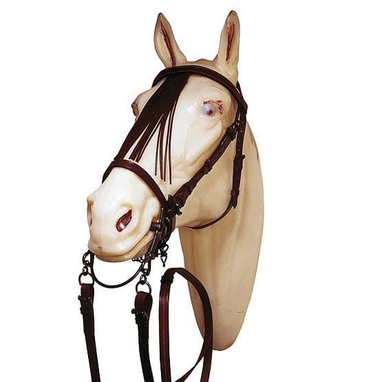 Marjoman Jerezana bridle