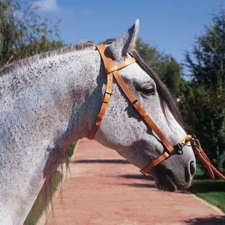 Marjoman single ring serreta