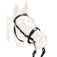 Menorquian bridle