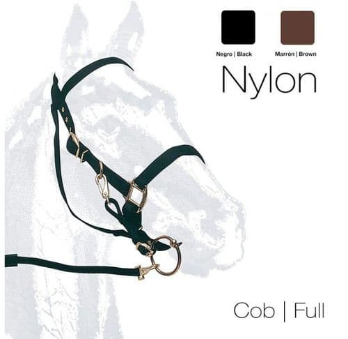 Nylon combination bridle/headcollar
