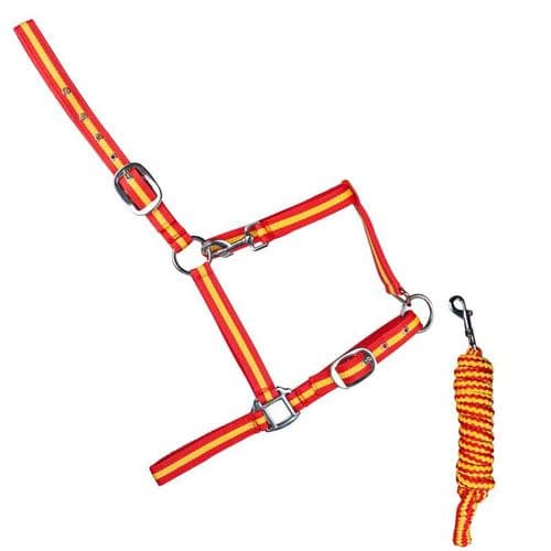 Nylon headcollar and lead rope
