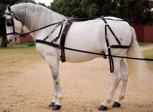 Nylon pairs driving harness with breastplate - Hagen