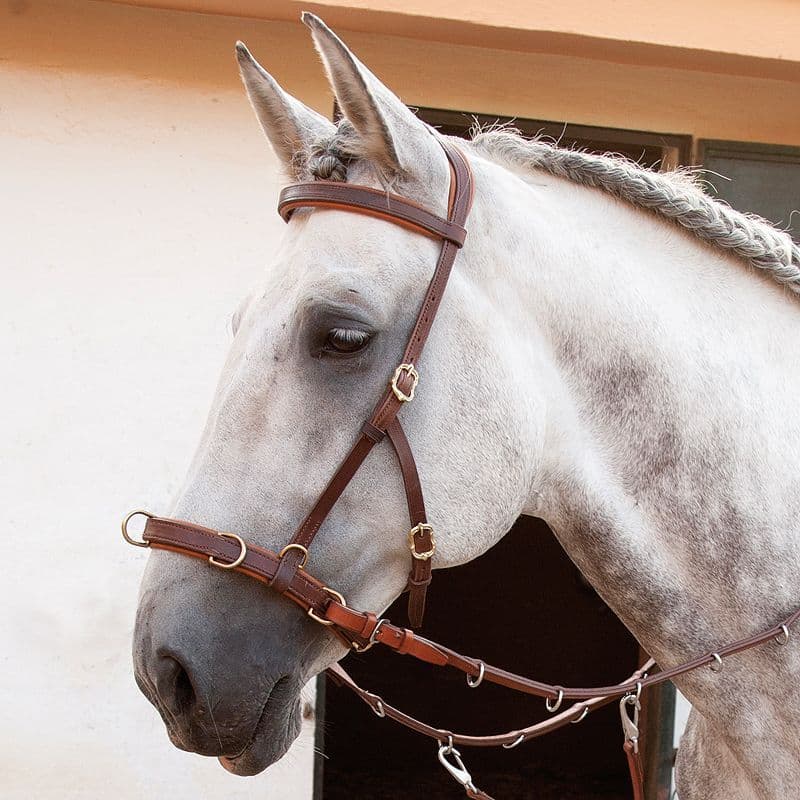 Oslo cavesson/show bridle