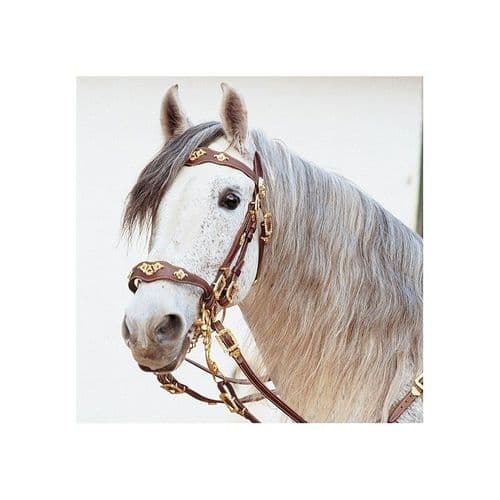 Portugues or Baroque Cortezia double bridle