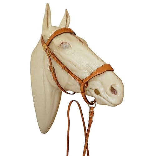 Portuguese show halter in leather