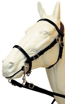Pre Christmas Offer Ludomar Portuguese bridle - Rameada style