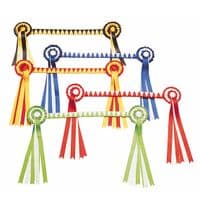 Presentation show in hand bridle with chain and  lead rope