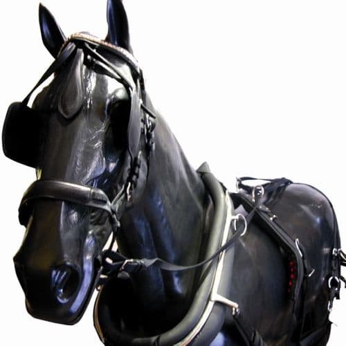 PVC/Nylon collar single harness set