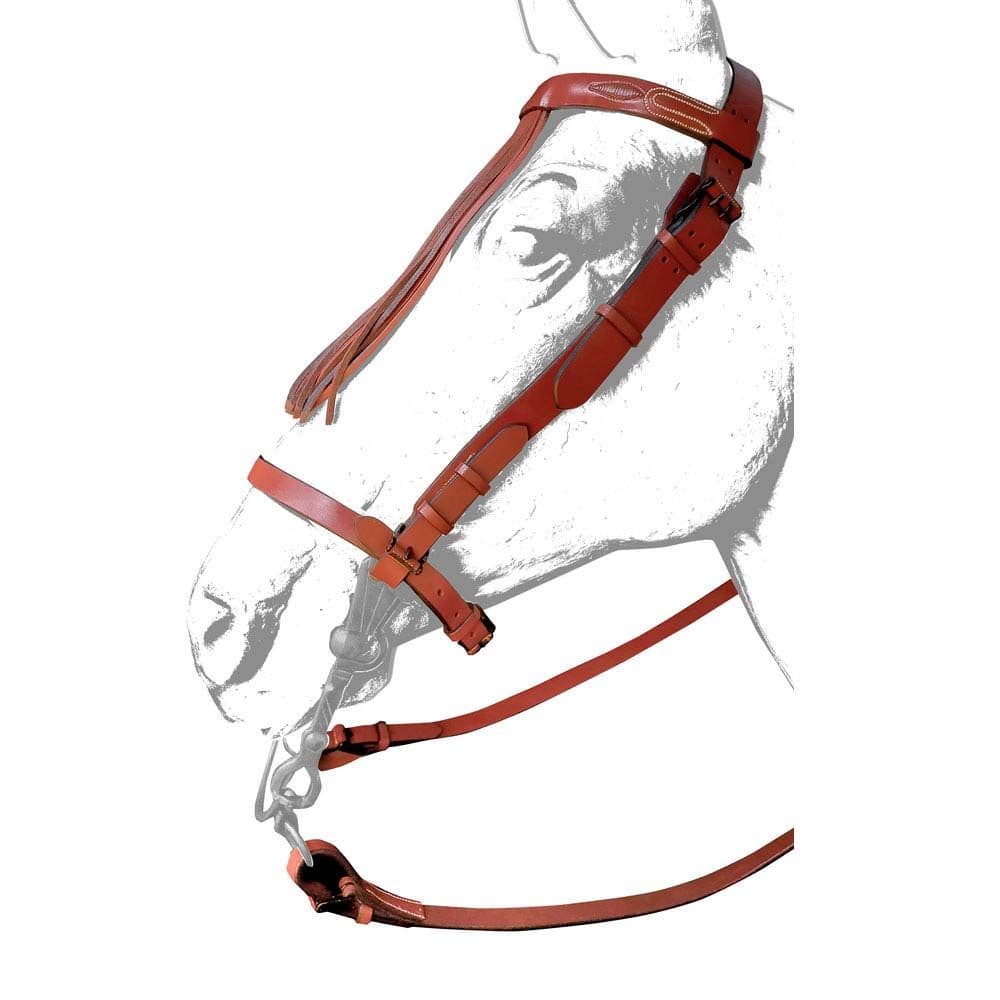 Ronda wide Vaquera bridle