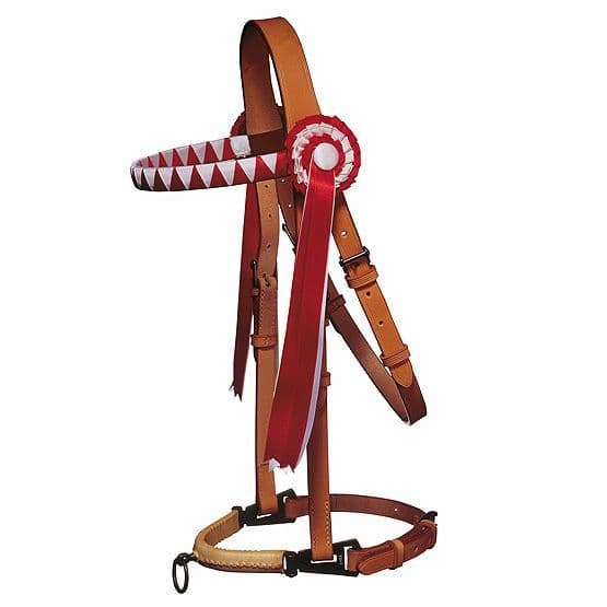Show serreta with coloured/ribbon browband and rosettes