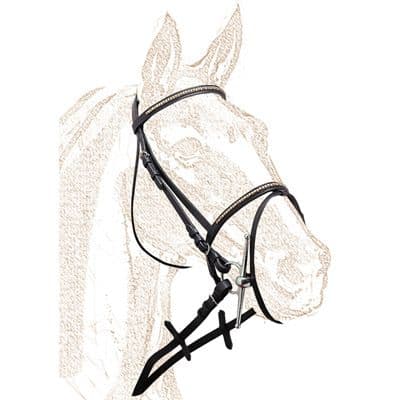 Single bridle with brass clincher browband