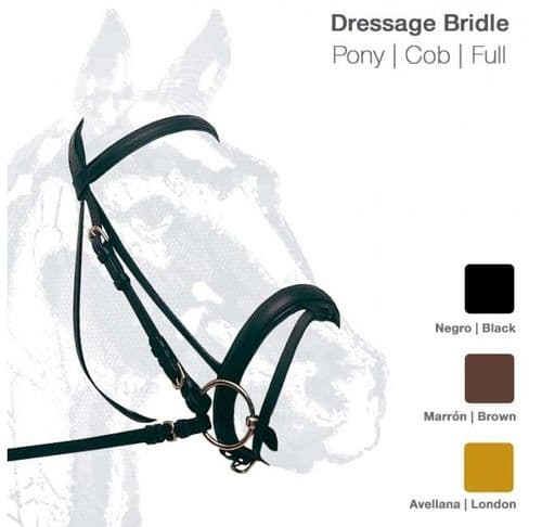 Single bridle with wide noseband