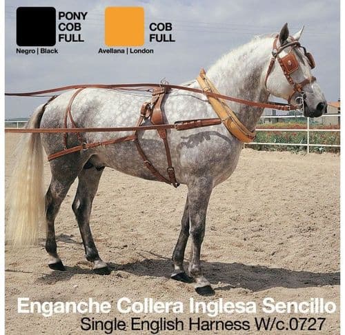 Single collar harness