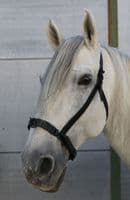 Single ring de-luxe leather serreta with smooth metal under leather noseband
