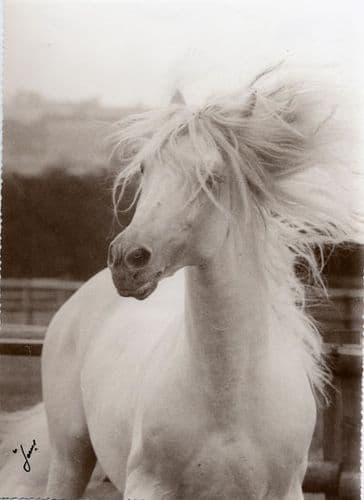 Spanish IVA - 21% OFF