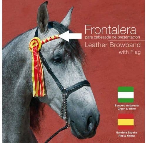 Special Offer Presentation browband with rosettes