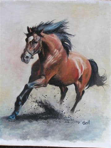 The Spanish Stallion 'Rumboso'