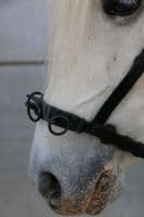 THREE RING leather serreta with smooth metal under the soft leather noseband