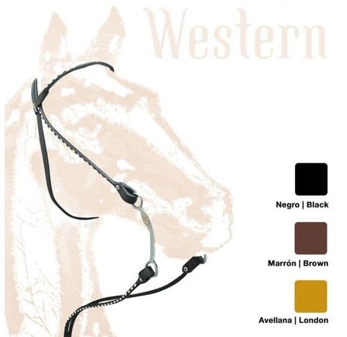 Western bridle