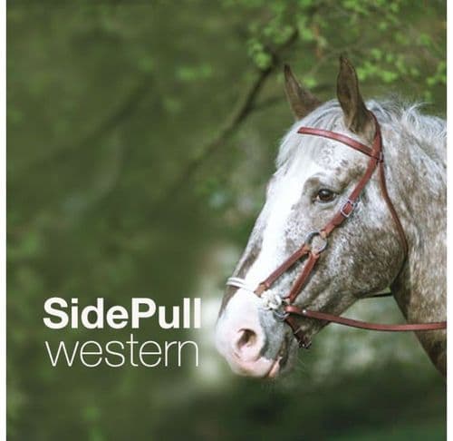 Western sidepull bridle