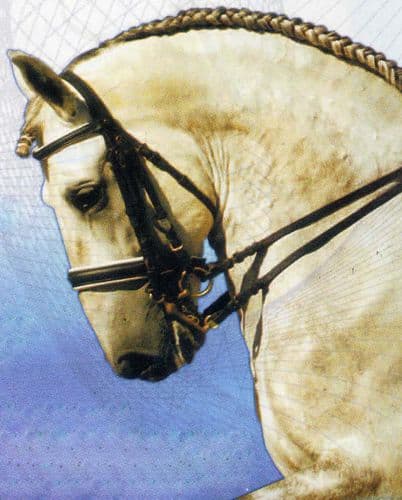 Zaldi competition double bridle