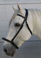 Zaldi de-luxe single ring serreta with padded soft leather nose covering