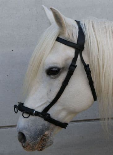 Zaldi de-luxe THREE RING serreta with padded soft leather nose covering