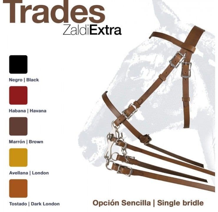 Zaldi Trades single bridle
