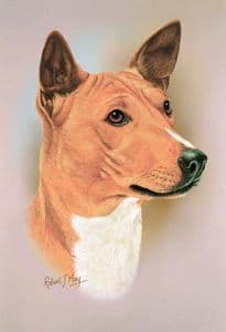 Basenji Head Study Print RMDH8