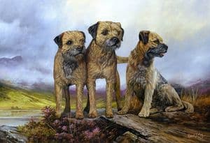 Border Terrier Limited Edition Print RMLE56